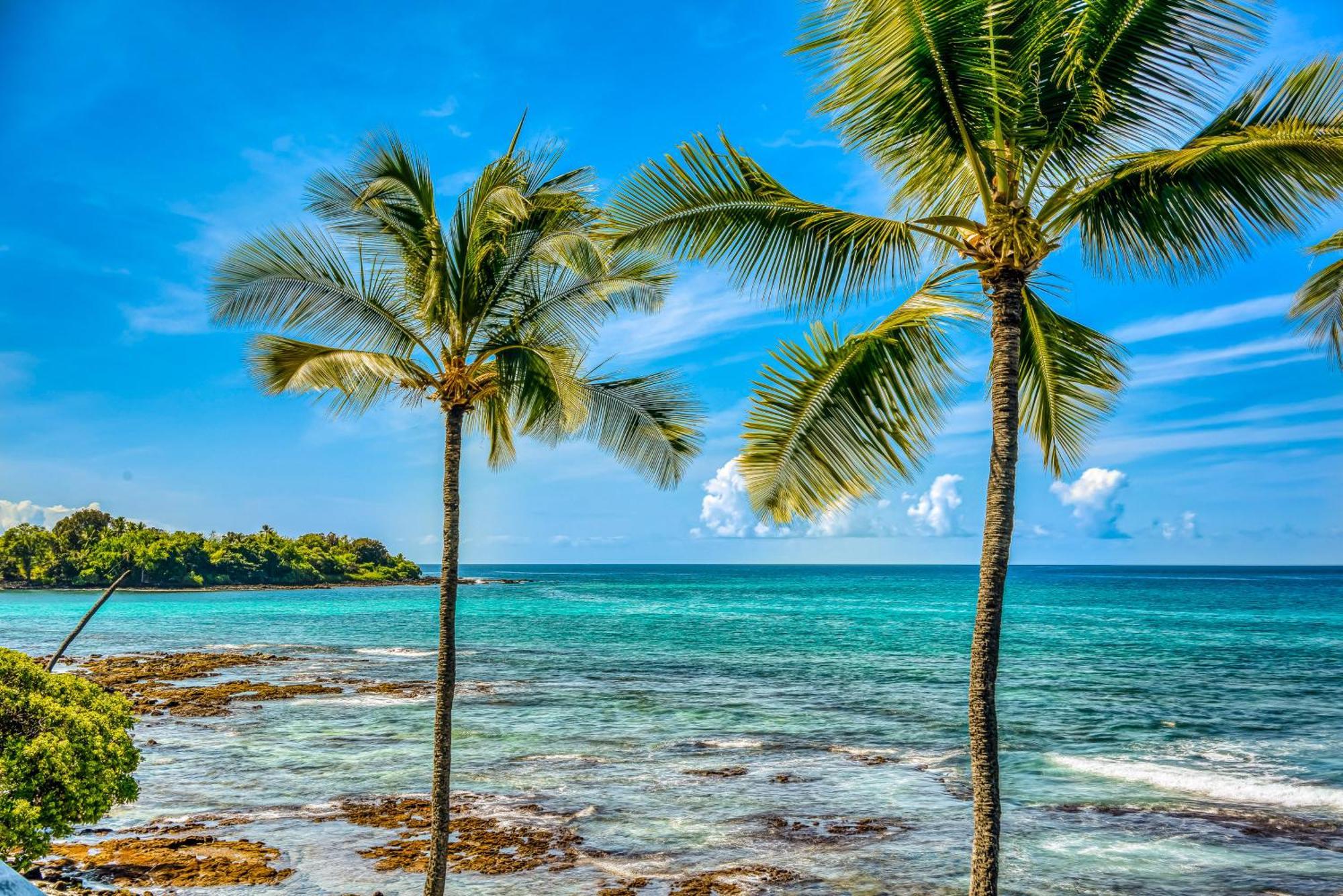 Kona Bali Kai Hotel Kailua-Kona Bagian luar foto
