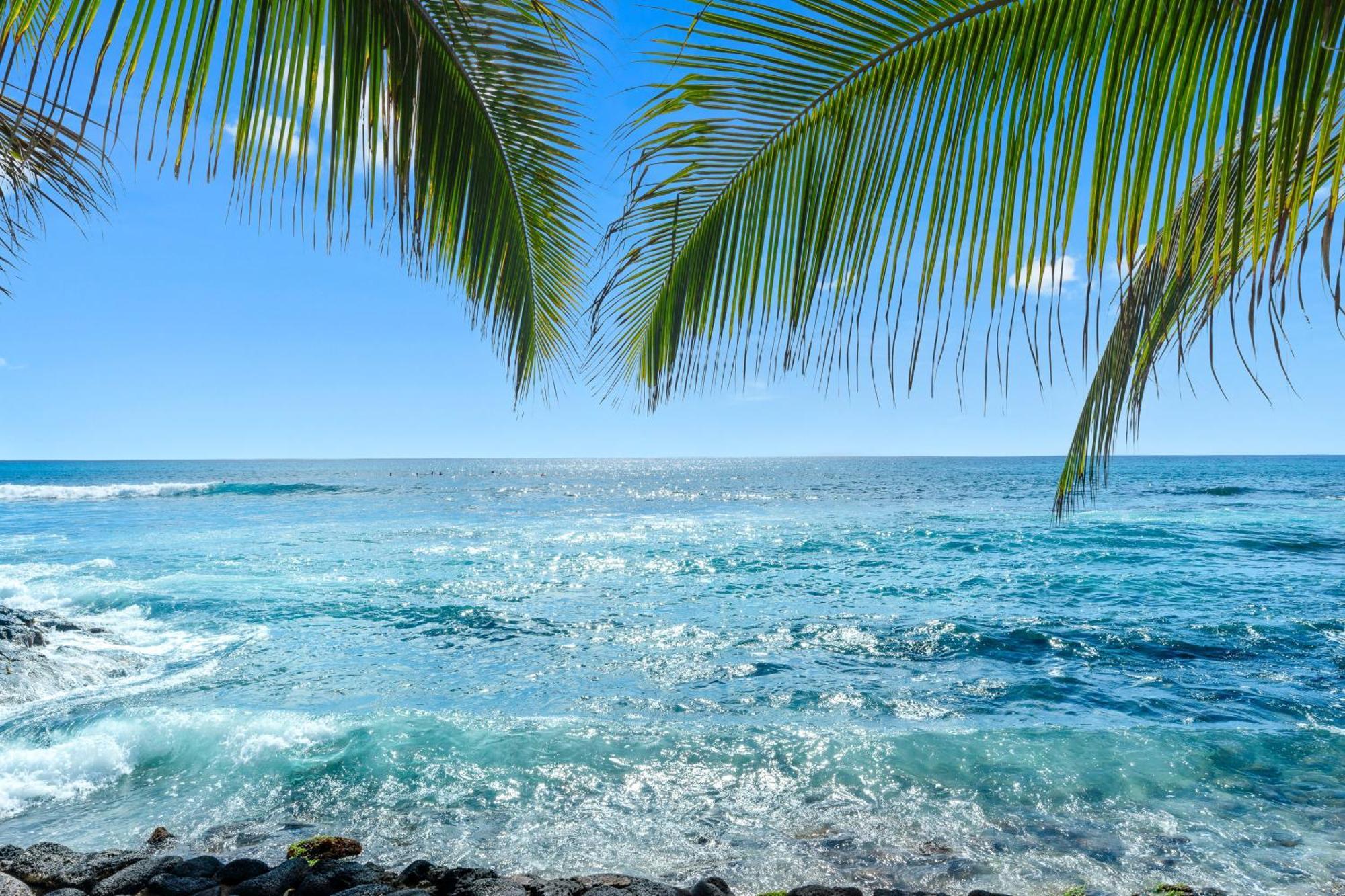 Kona Bali Kai Hotel Kailua-Kona Ruang foto